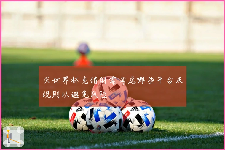 买世界杯竞猜时需考虑哪些平台及规则以避免风险