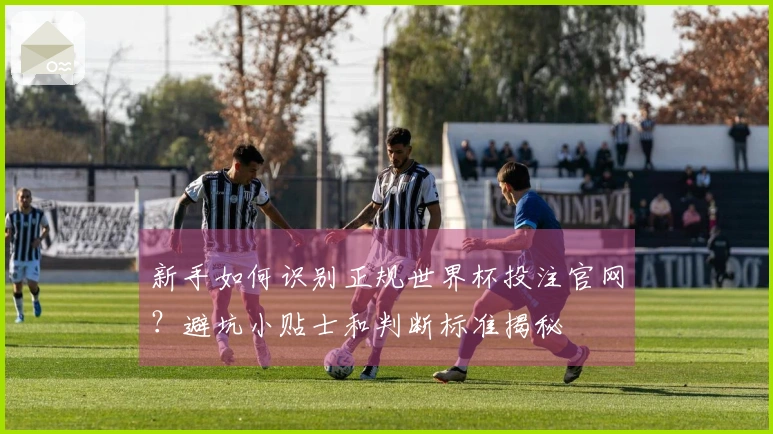 新手如何识别正规世界杯投注官网?避坑小贴士和判断标准揭秘