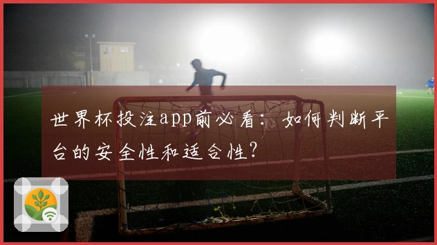 世界杯投注app前必看：如何判断平台的安全性和适合性？