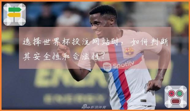选择世界杯投注网站时,如何判断其安全性和合法性?