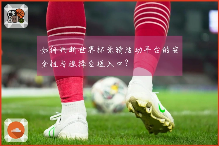 如何判断世界杯竞猜活动平台的安全性与选择合适入口？
