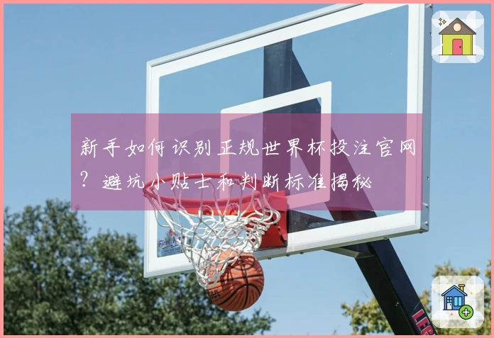新手如何识别正规世界杯投注官网？避坑小贴士和判断标准揭秘