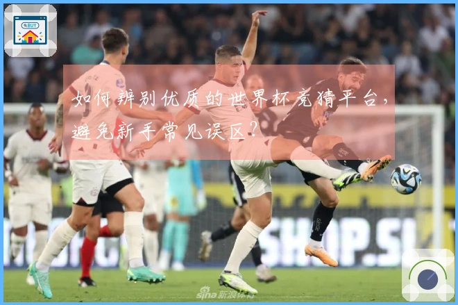 如何辨别优质的世界杯竞猜平台，避免新手常见误区？