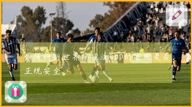 如何辨别世界杯投注app的官网是否正规安全