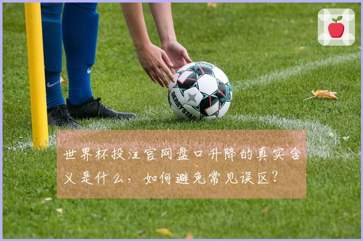 世界杯投注官网盘口升降的真实含义是什么，如何避免常见误区？
