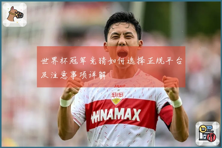 世界杯冠军竞猜如何选择正规平台及注意事项详解
