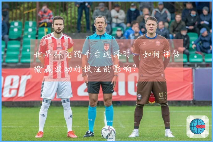 世界杯竞猜平台选择时，如何评估输赢波动对投注的影响？