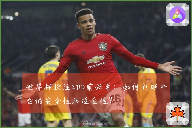 世界杯投注app前必看：如何判断平台的安全性和适合性？
