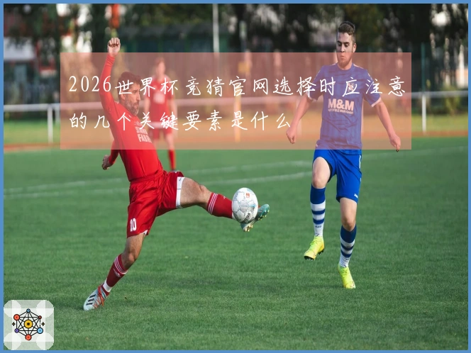 2026世界杯竞猜官网选择时应注意的几个关键要素是什么