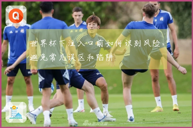 世界杯下注入口前如何识别风险，避免常见误区和陷阱